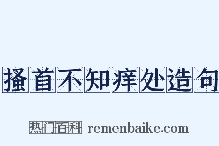 搔首不知痒处造句是什么意思的图片